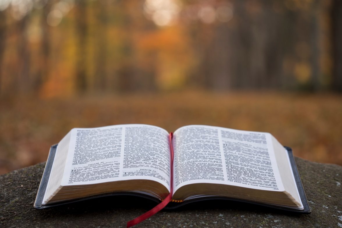 Photo by Aaron Burden bible page on gray concrete surface