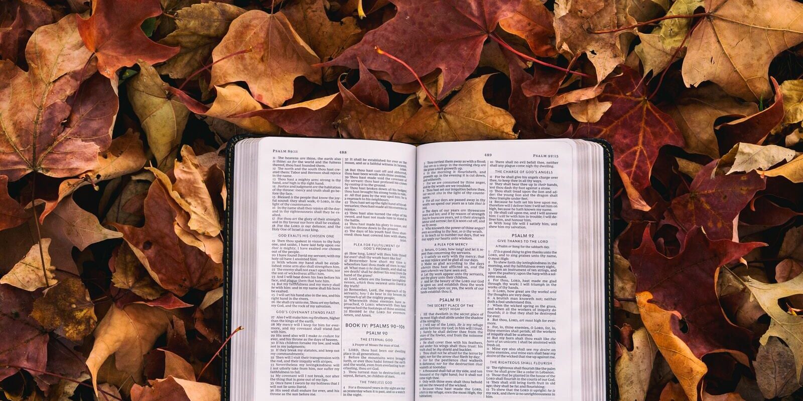 opened white and black book