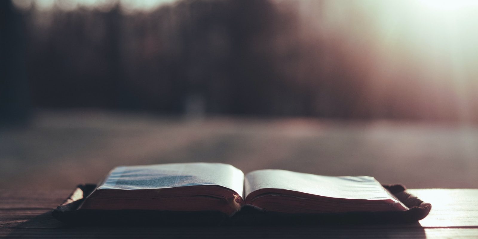 open book on brown wooden table