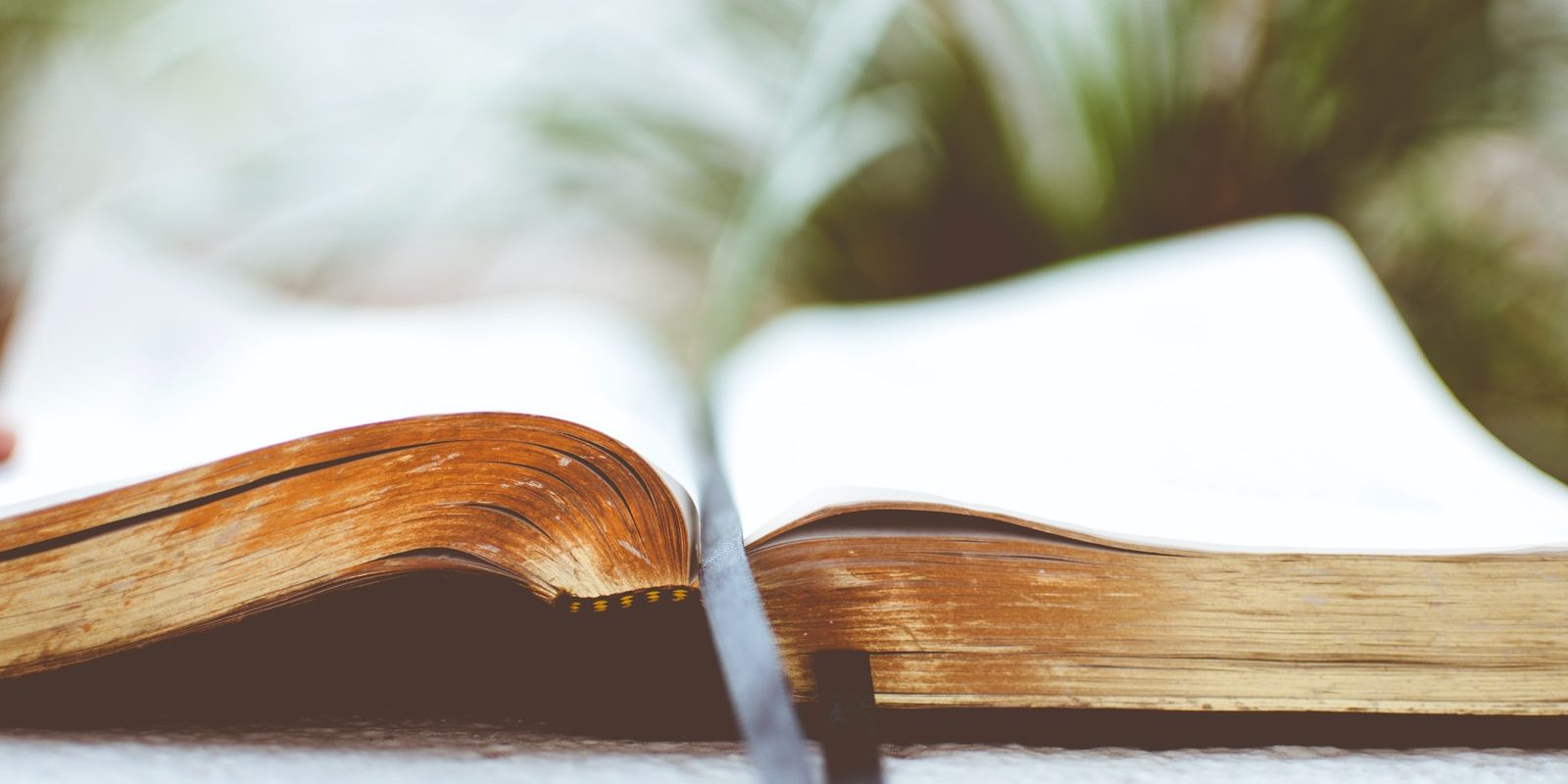 Photo by Ben White open book on white surface