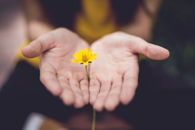 Photo by Lina Trochez selective focus photography of woman holding yellow petaled flowers