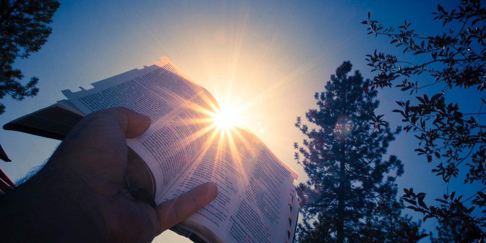 person holding white printer paper